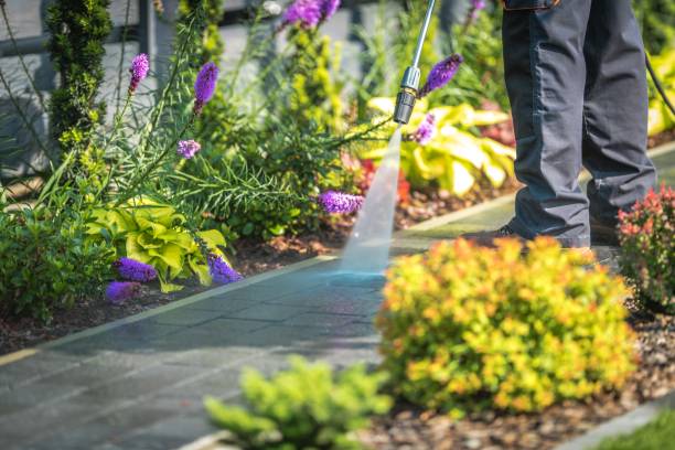 Best House Exterior Washing  in Gaylord, MI
